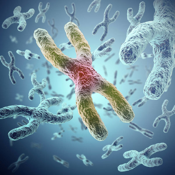 生物学最有前景的专业有哪些?学生物工程有前途吗看看过来人咋说 生物学最有前景的专业有哪些?学生物工程有前途吗看看过来人咋说