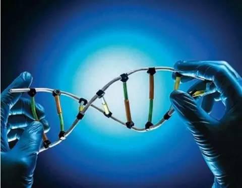 生物学最有前景的专业有哪些?学生物工程有前途吗看看过来人咋说 生物学最有前景的专业有哪些?学生物工程有前途吗看看过来人咋说
