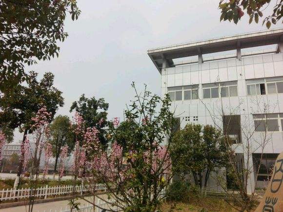 皖西卫生职业学院是大专吗?师资力量怎样?特色专业宿舍环境如何 皖西卫生职业学院是大专吗?师资力量怎样?特色专业宿舍环境如何