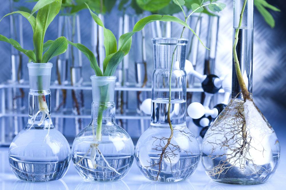 生物科学专业很冷门吗?就业方向有哪些?生物科学专业大学排名 生物科学专业很冷门吗?就业方向有哪些?生物科学专业大学排名