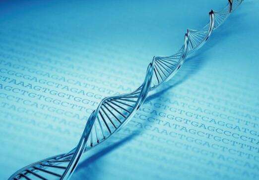 生物科学专业很冷门吗?就业方向有哪些?生物科学专业大学排名 生物科学专业很冷门吗?就业方向有哪些?生物科学专业大学排名