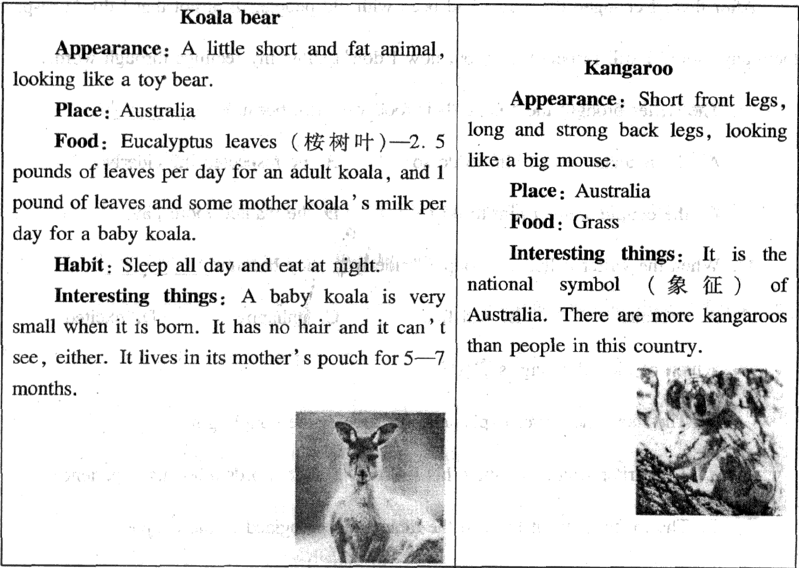 阅读理解。1.If someone sees a newly born koala bear, he will be surpris 阅读理解。1.If someone sees a newly born koala bear, he will be surpris