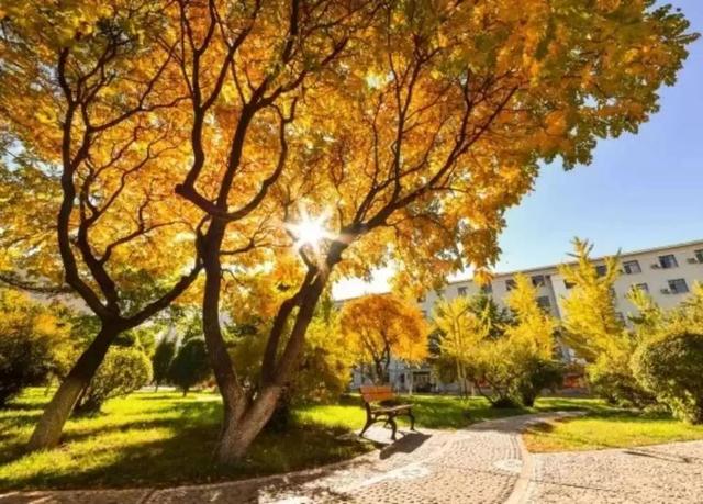 东北大学在985中排名第几实力如何?特色专业是什么 东北大学在985中排名第几实力如何?特色专业是什么