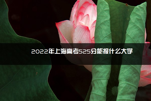 上海2022高考460分能上什么学校,上海高考515分能上什么大学 上海2022高考460分能上什么学校,上海高考515分能上什么大学