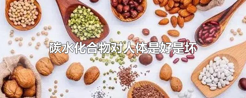 碳水化合物是否对人体有害,碳水化合物对身体有害吗