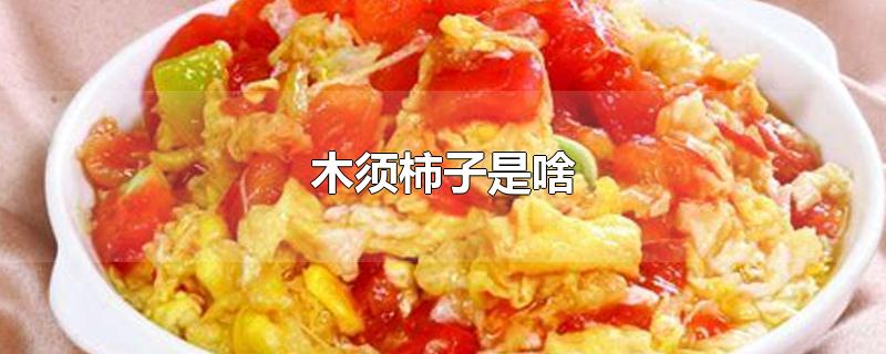 为啥叫木须柿子,木须柿子什么意思
