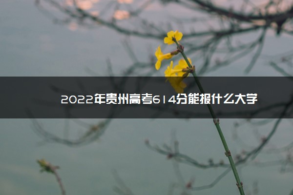 贵州高考617分能读什么大学,贵州616分可以上什么大学 贵州高考617分能读什么大学,贵州616分可以上什么大学