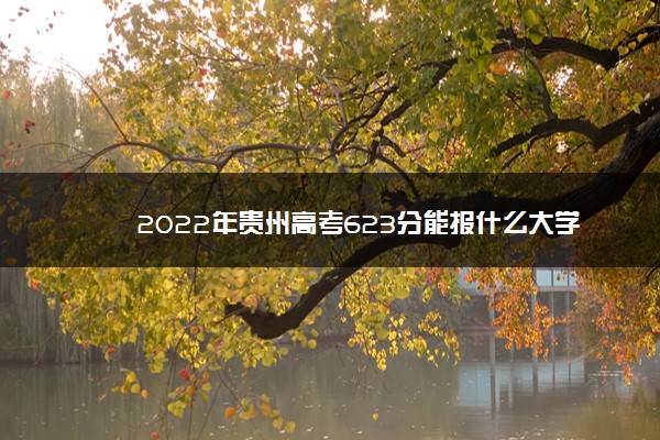 2022贵州高考文科610分能报什么学校,2022年贵州文科599分能上哪些大学 2022贵州高考文科610分能报什么学校,2022年贵州文科599分能上哪些大学