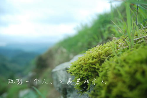 小学数学教学如何培养核心素养 小学数学教学如何培养核心素养