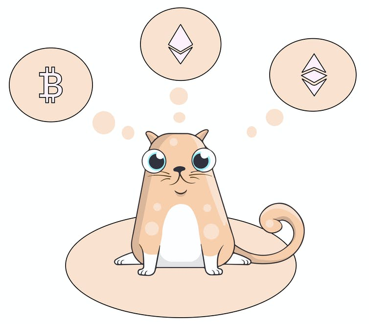 为什么入手NFT总觉得血亏?译文 为什么入手NFT总觉得血亏?译文