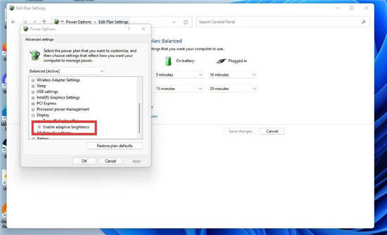 Win11如何通过控制面板关闭自适应亮度? Win11如何通过控制面板关闭自适应亮度