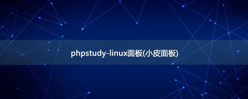 小皮面板怎么安装 小皮面板怎么安装