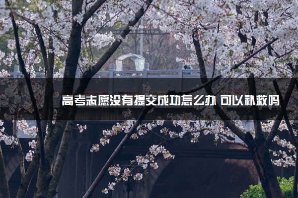 2022年最新高考志愿没有提交成功怎么办 可以补救吗 2022年最新高考志愿没有提交成功怎么办 可以补救吗