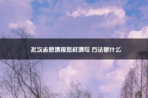 2022年最新批次志愿填报怎样填写 方法是什么 2022年最新批次志愿填报怎样填写 方法是什么
