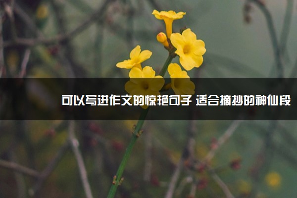 2022年最新可以写进作文的惊艳句子 适合摘抄的神仙段落 2022年最新可以写进作文的惊艳句子 适合摘抄的神仙段落
