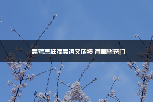 2022年最新高考怎样提高语文成绩 有哪些窍门 2022年最新高考怎样提高语文成绩 有哪些窍门