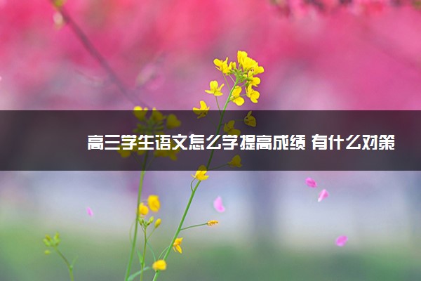 2022年最新高三学生语文怎么学提高成绩 有什么对策 2022年最新高三学生语文怎么学提高成绩 有什么对策