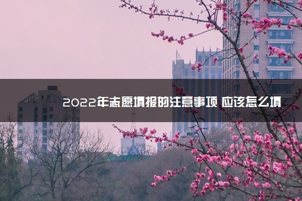 2022年最新2022年志愿填报的注意事项 应该怎么填报 2022年最新2022年志愿填报的注意事项 应该怎么填报