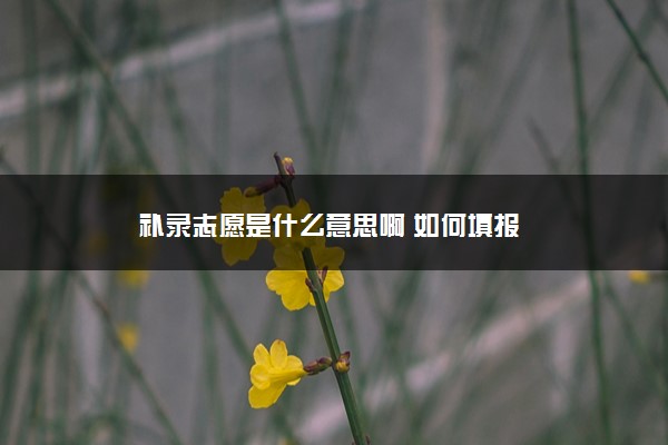 2022年最新补录志愿是什么意思啊 如何填报 2022年最新补录志愿是什么意思啊 如何填报