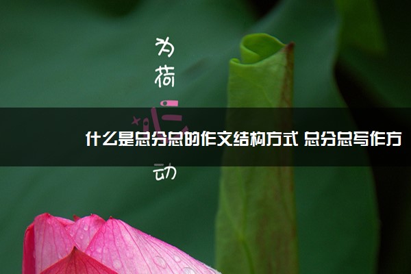 2022年最新什么是总分总的作文结构方式 总分总写作方式的优点 2022年最新什么是总分总的作文结构方式 总分总写作方式的优点