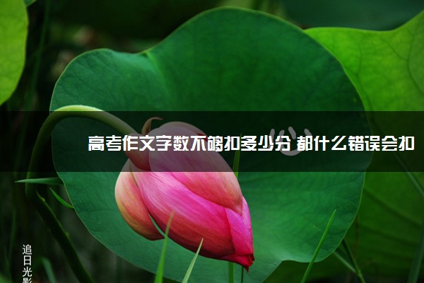 2022年最新高考作文字数不够扣多少分 都什么错误会扣分 2022年最新高考作文字数不够扣多少分 都什么错误会扣分
