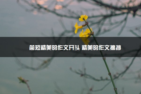 2022年最新简短精美的作文开头 精美的作文摘抄 2022年最新简短精美的作文开头 精美的作文摘抄