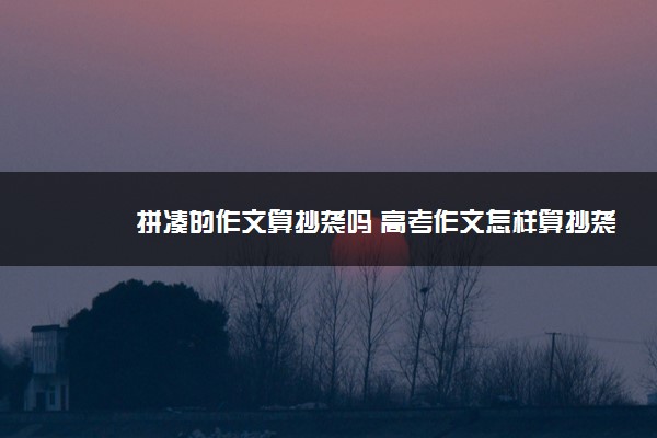 2022年最新拼凑的作文算抄袭吗 高考作文怎样算抄袭 2022年最新拼凑的作文算抄袭吗 高考作文怎样算抄袭