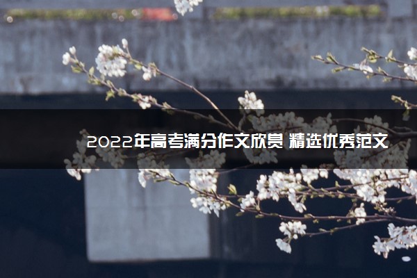 2022年最新2022年高考满分作文欣赏 精选优秀范文整理 2022年最新2022年高考满分作文欣赏 精选优秀范文整理
