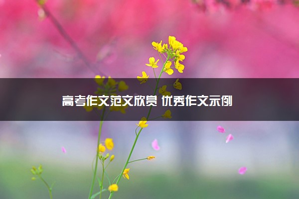 2022年最新高考作文范文欣赏 优秀作文示例 2022年最新高考作文范文欣赏 优秀作文示例