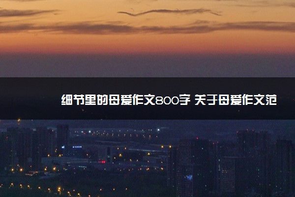 2022年最新细节里的母爱作文800字 关于母爱作文范文 2022年最新细节里的母爱作文800字 关于母爱作文范文