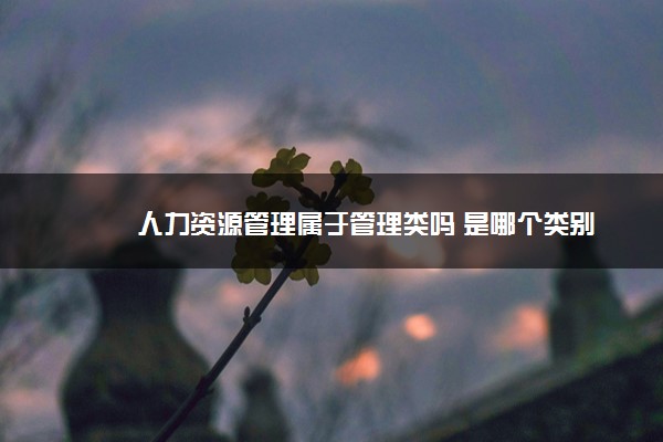 2022年最新人力资源管理属于管理类吗 是哪个类别 2022年最新人力资源管理属于管理类吗 是哪个类别