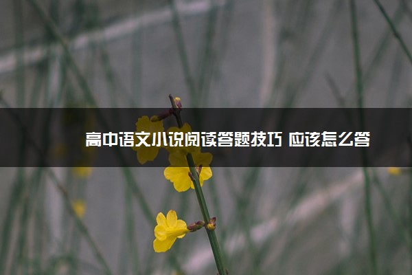 2022年最新高中语文小说阅读答题技巧 应该怎么答 2022年最新高中语文小说阅读答题技巧 应该怎么答