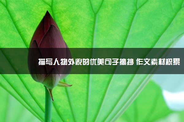 2022年最新描写人物外貌的优美句子摘抄 作文素材积累 2022年最新描写人物外貌的优美句子摘抄 作文素材积累