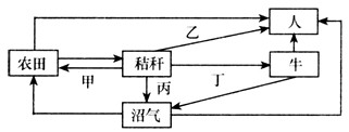 结合某地秸秆利用示意图回答1~2题。 1、图中围绕秸秆有四种不同利用方式,分别代表最不利于恢复土壤肥力的、综合效益最好的两种力 结合某地秸秆利用示意图回答1~2题。 1、图中围绕秸秆有四种不同利用方式,分别代表最不利于恢复土壤肥力的、综合效益最好的两种力