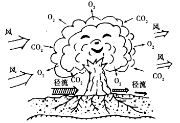 读“树木与环境”示意图,回答问题。 说出该图所示森林的三方面效益_______________、_______________、_ 读“树木与环境”示意图,回答问题。 说出该图所示森林的三方面效益_______________、_______________、_