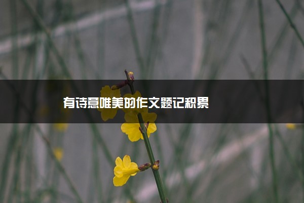 2022年最新有诗意唯美的作文题记积累 2022年最新有诗意唯美的作文题记积累