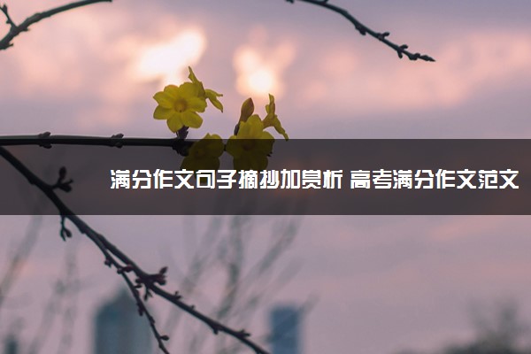 2022年最新满分作文句子摘抄加赏析 高考满分作文范文欣赏 2022年最新满分作文句子摘抄加赏析 高考满分作文范文欣赏