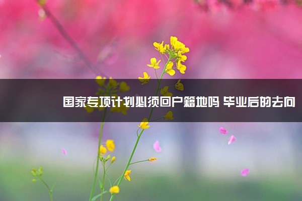2022年最新国家专项计划必须回户籍地吗 毕业后的去向 2022年最新国家专项计划必须回户籍地吗 毕业后的去向