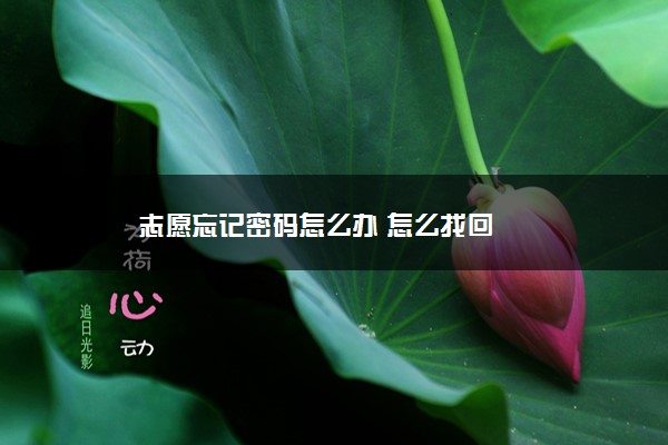2022年最新志愿忘记密码怎么办 怎么找回 2022年最新志愿忘记密码怎么办 怎么找回