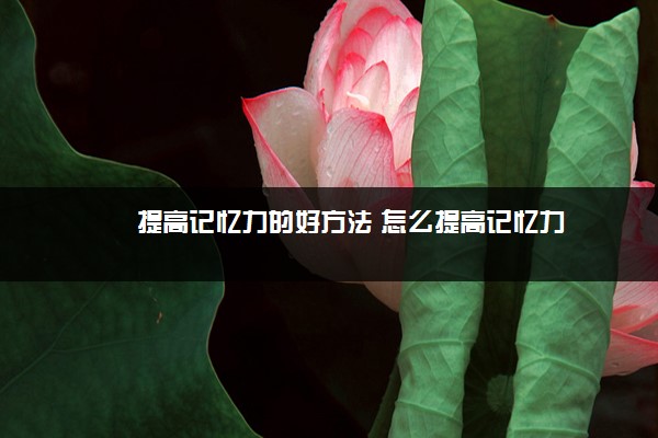 2022年最新提高记忆力的好方法 怎么提高记忆力 2022年最新提高记忆力的好方法 怎么提高记忆力