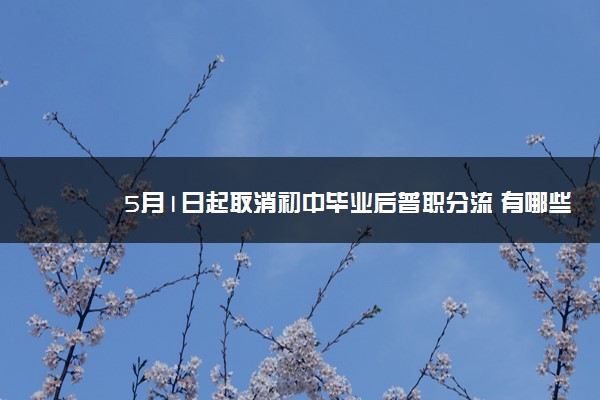 2022年最新5月1日起取消初中毕业后普职分流 有哪些影响 2022年最新5月1日起取消初中毕业后普职分流 有哪些影响