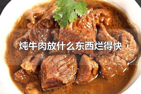 炖牛肉放什么东西烂得快 牛肉的营养价值