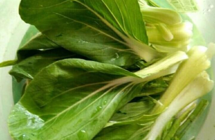 炒油菜怎么做才好吃 炒油菜怎么做才好吃