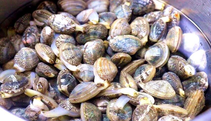 花甲里面的黑色东西能吃吗 花甲里面的黑色东西能吃吗
