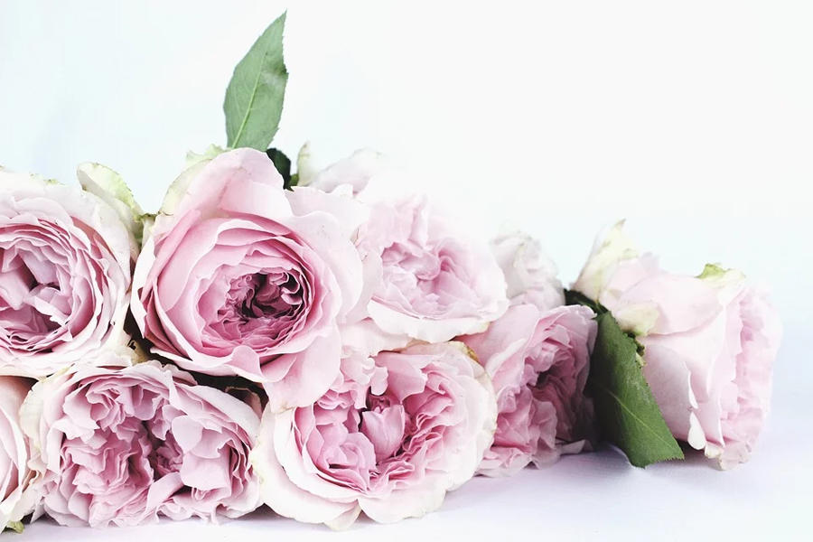 代表祝福传递的结婚手捧花用什么花 代表祝福传递的结婚手捧花用什么花