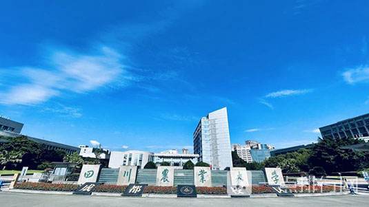 四川省大学排名2022最新排名 四川省大学排名2022最新排名-四川省大学一览表