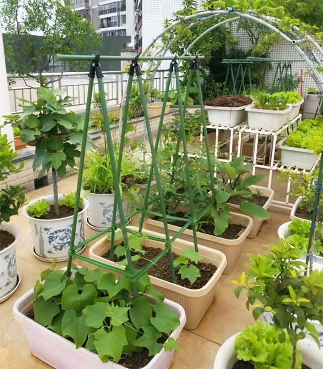 楼顶天台怎么装修最实用 楼顶天台怎么装修最实用