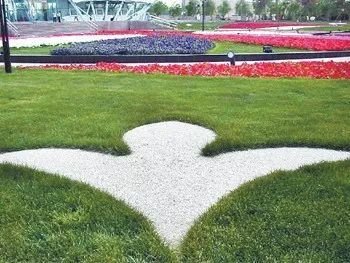 鹅卵石铺地方法教程 鹅卵石铺地方法教程