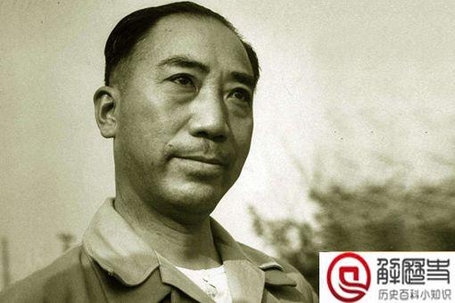 戴藏宜为什么死 戴藏宜为什么死