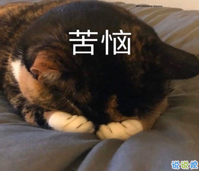 沙雕头像图片智障 沙雕头像图片智障